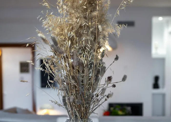 Blue Ribbons Luxury House * Ouranoupoli