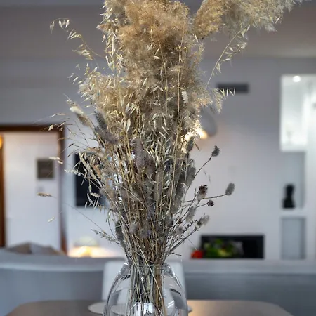 Blue Ribbons Luxury House * Ouranoupoli